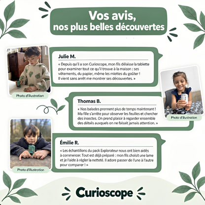 Le Curioscope