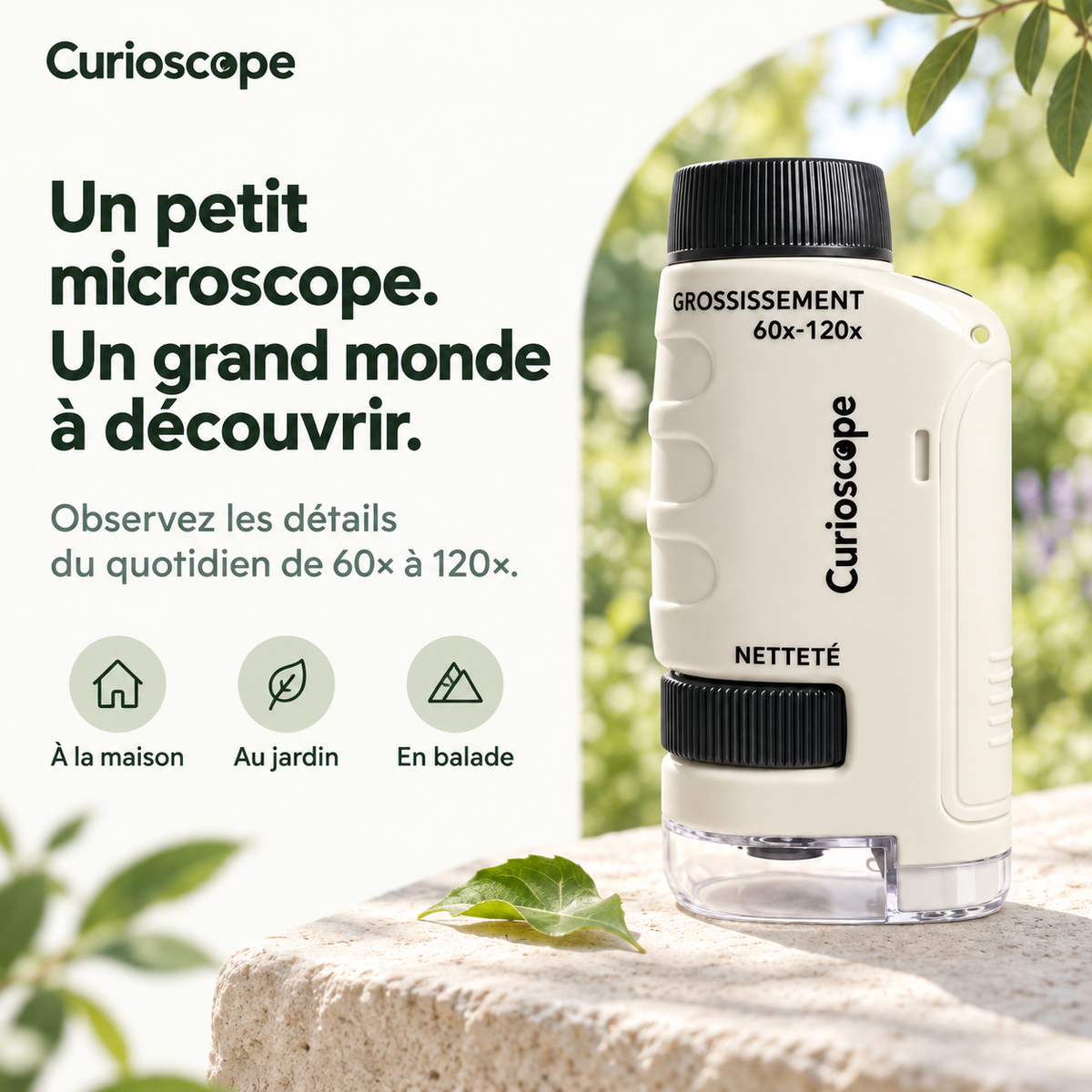 Le Curioscope
