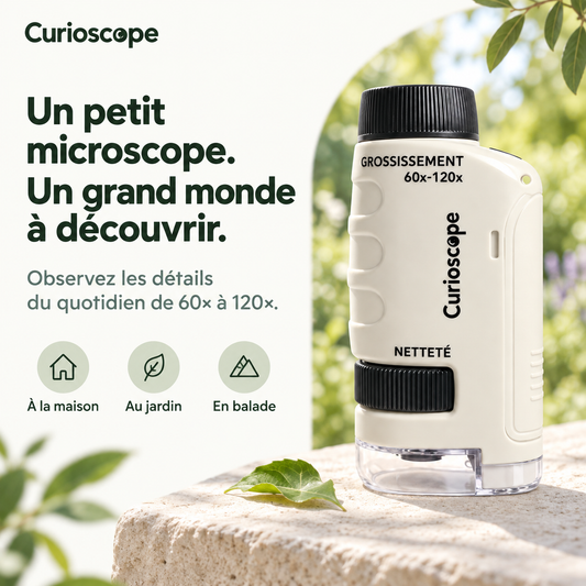 Le Curioscope