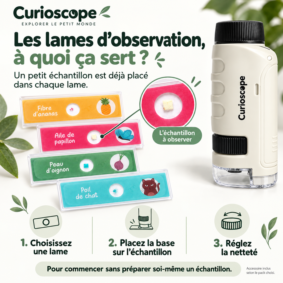 Le Curioscope