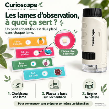 Le Curioscope